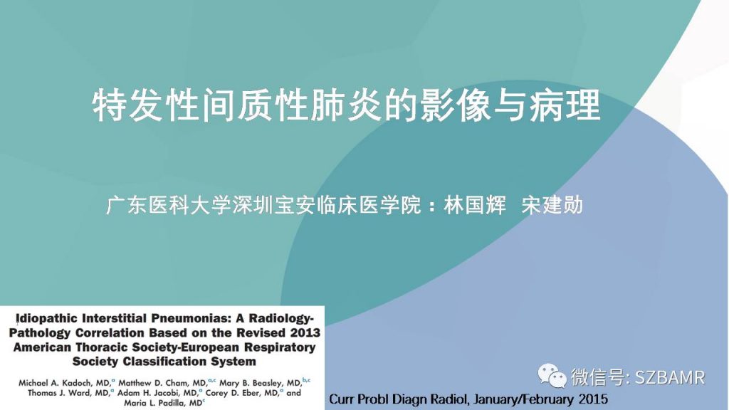 【PPT】特发性间质性肺炎的影像与病理
