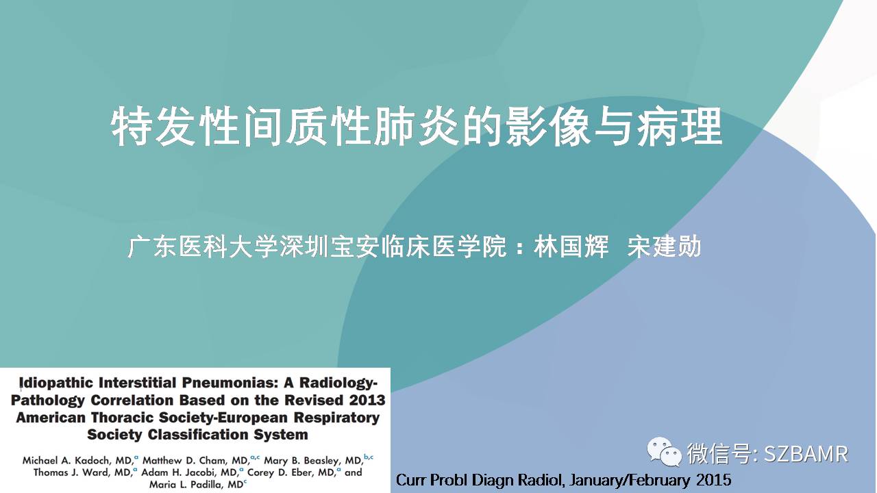 【PPT】特发性间质性肺炎的影像与病理
