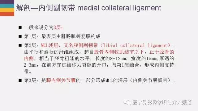 【PPT】膝关节内侧副韧带解剖及损失MR诊断