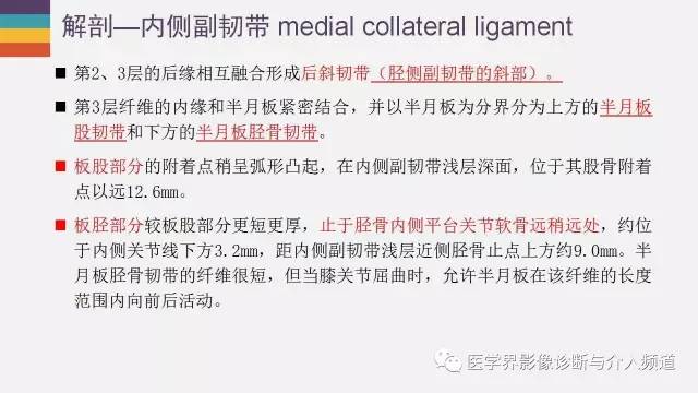 【PPT】膝关节内侧副韧带解剖及损失MR诊断