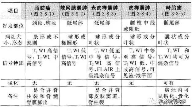 椎管内占位的影像诊断 椎管内占位的影像诊断