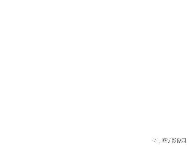 【PPT】DPLD胸部HRCT鉴别诊断