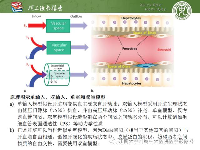 【PPT】肝脏CT灌注在肿瘤学中的原理及应用