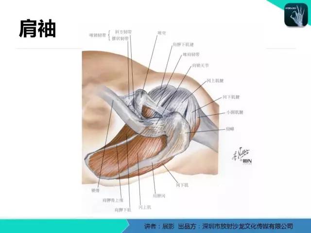 【PPT】肩峰下撞击综合征和肩袖损伤的MR表现