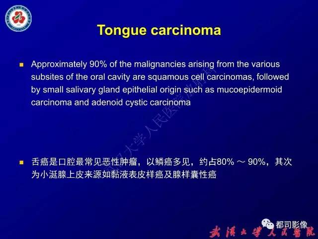 【PPT】舌部良恶性病变及鉴别诊断
