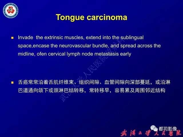 【PPT】舌部良恶性病变及鉴别诊断
