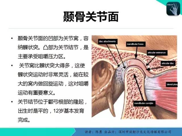 【PPT】颞下颌关节紊乱的MRI诊断