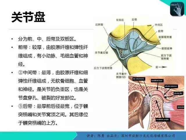 【PPT】颞下颌关节紊乱的MRI诊断