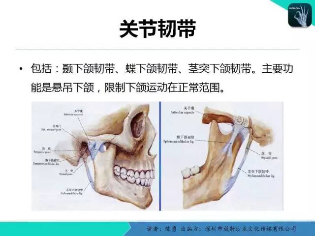 【PPT】颞下颌关节紊乱的MRI诊断
