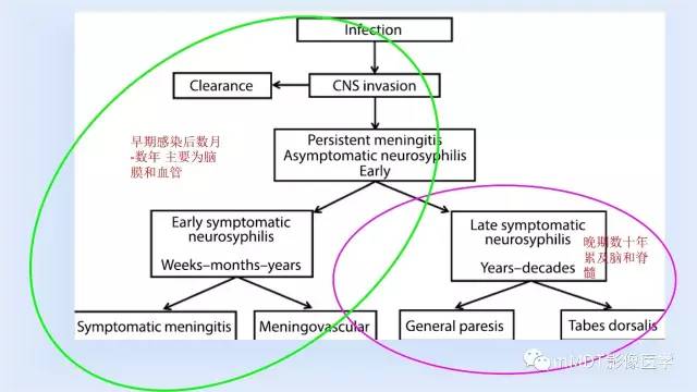 【PPT】神经梅毒的影像诊断