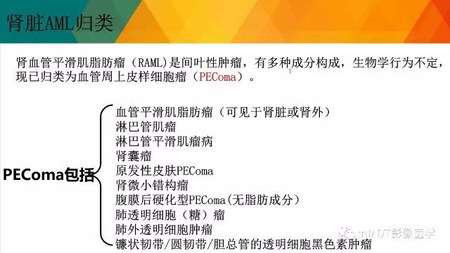 【PPT】肾血管平滑肌脂肪瘤影像表现
