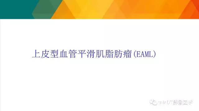 【PPT】肾血管平滑肌脂肪瘤影像表现