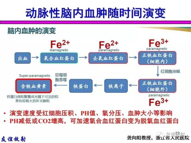 【PPT】基本病变的MR信号分析——出血MRI信号演变及分子机制
