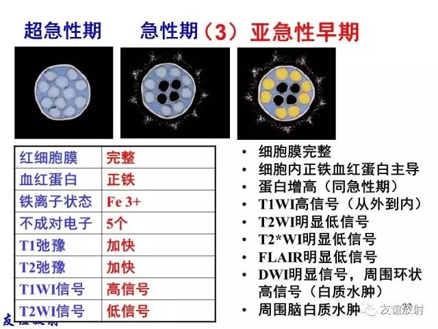 【PPT】基本病变的MR信号分析——出血MRI信号演变及分子机制