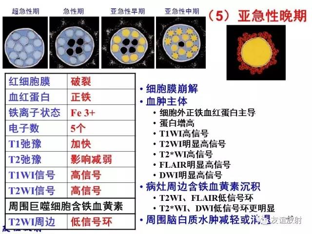 【PPT】基本病变的MR信号分析——出血MRI信号演变及分子机制