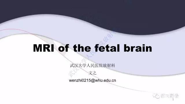 【PPT】MRI of the fetal brain