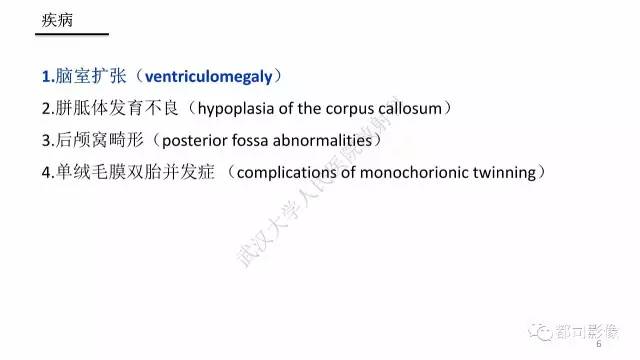 【PPT】MRI of the fetal brain