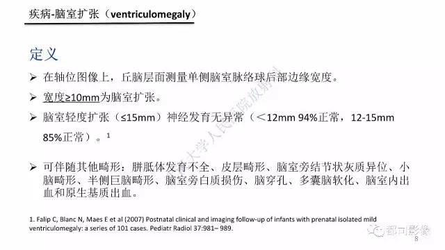 【PPT】MRI of the fetal brain