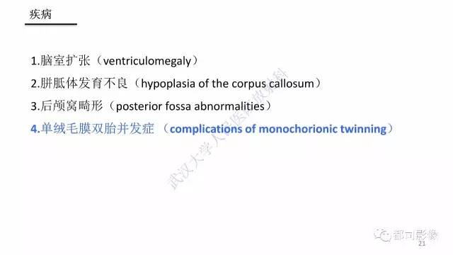 【PPT】MRI of the fetal brain