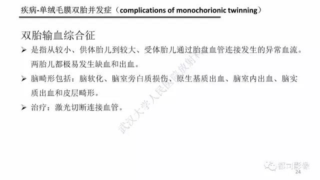 【PPT】MRI of the fetal brain