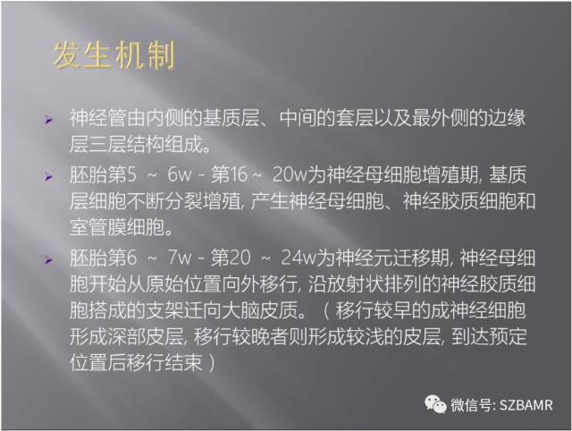 【PPT】灰质异位的MR影像