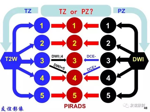 【PPT】前列腺的多参数MRI检查与病变的PI-RADS分类