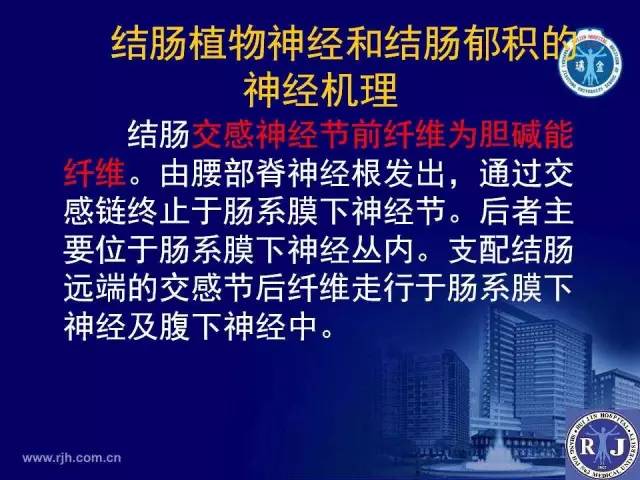 【PPT】反射性肠郁积的影像学表现