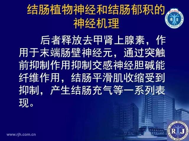 【PPT】反射性肠郁积的影像学表现