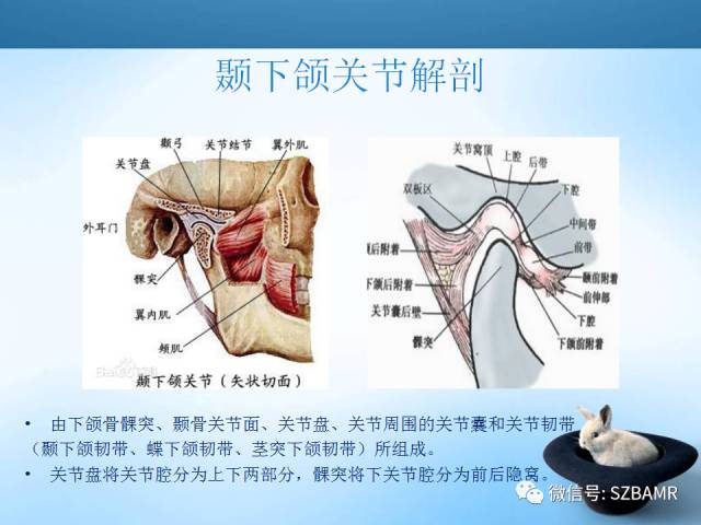 【PPT】颞下颌关节解剖及关节紊乱影像表现