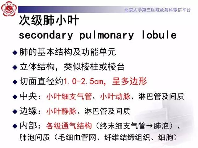 【PPT】磨玻璃密度病变的CT诊断（一）