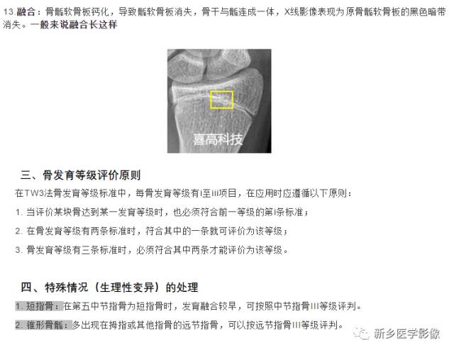 骨龄读片基础