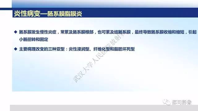 【PPT】腹膜解剖及炎性病变影像诊断