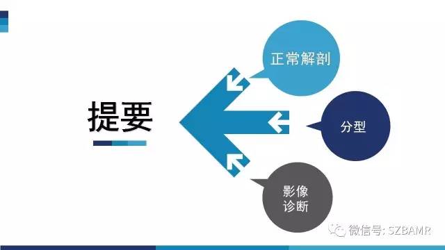 【PPT】颅底交界区畸形影像诊断