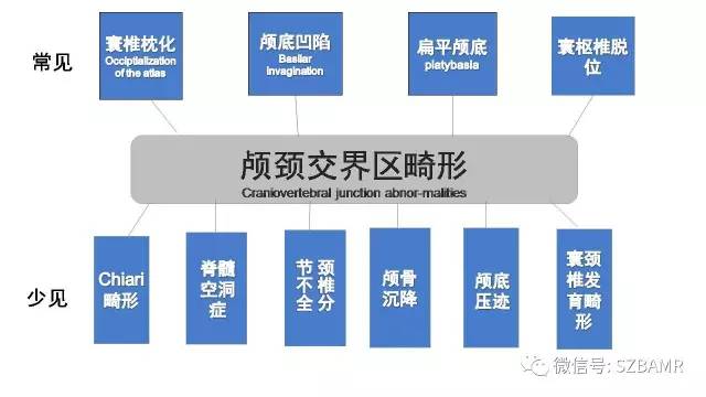 【PPT】颅底交界区畸形影像诊断