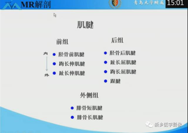 【PPT】足踝部MRI诊断