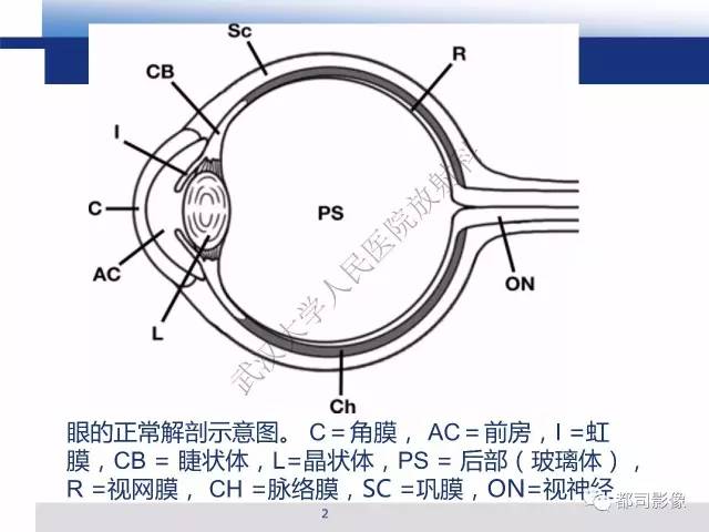 【PPT】眼球损伤影像诊断