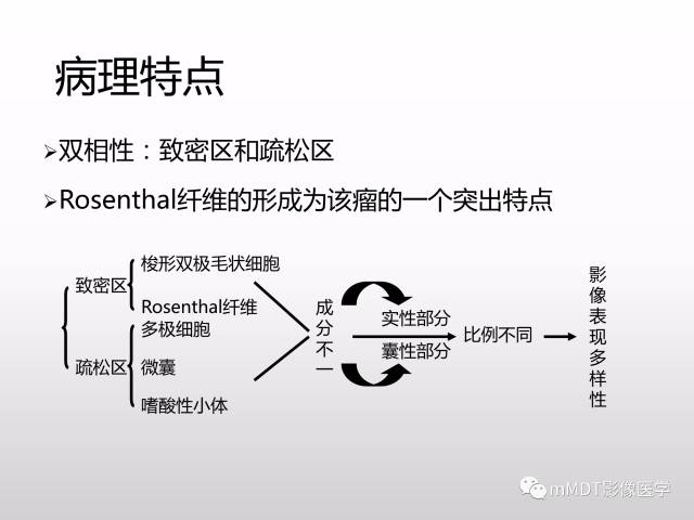 【PPT】浅谈毛细胞型星形细胞瘤影像