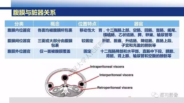 【PPT】腹膜解剖及其炎性病变影像诊断