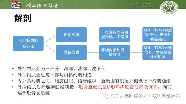 【PPT】克罗恩病肛周病变的MR表现