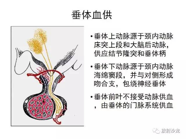 【PPT】垂体瘤的MR诊断与鉴别诊断