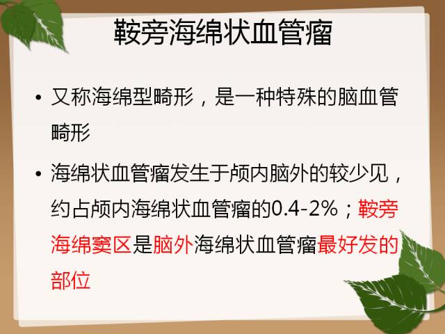 【PPT】鞍旁病例分析