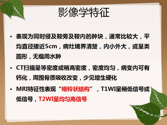 【PPT】鞍旁病例分析
