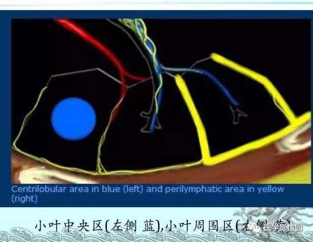 【PPT】肺部HRCT基本影像征象