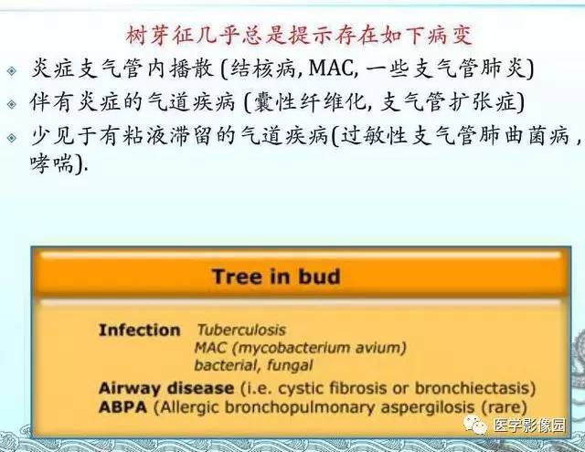 【PPT】肺部HRCT基本影像征象