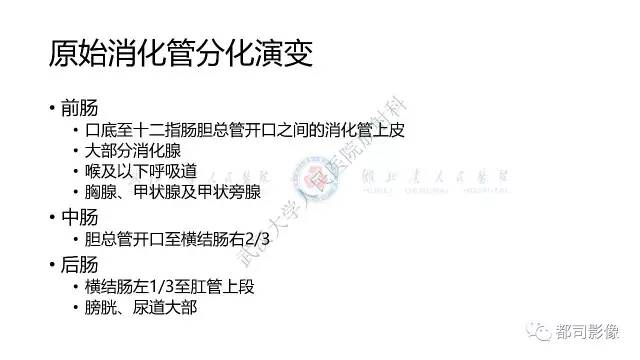 【病例】先天性肠旋转不良伴扭转1例X线CT