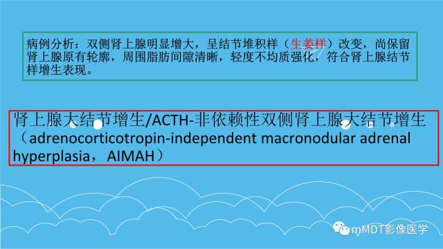 【PPT】双侧肾上腺占位性病变的影像诊断解析