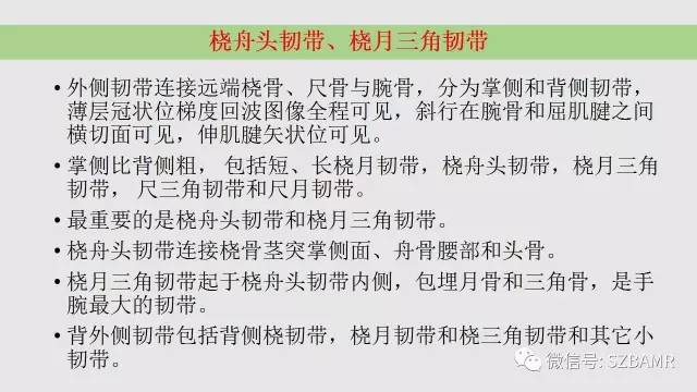 【PPT】腕、手磁共振成像正常解剖与变异