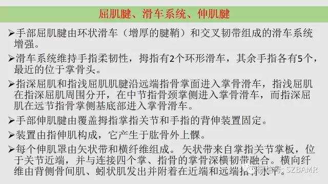 【PPT】腕、手磁共振成像正常解剖与变异