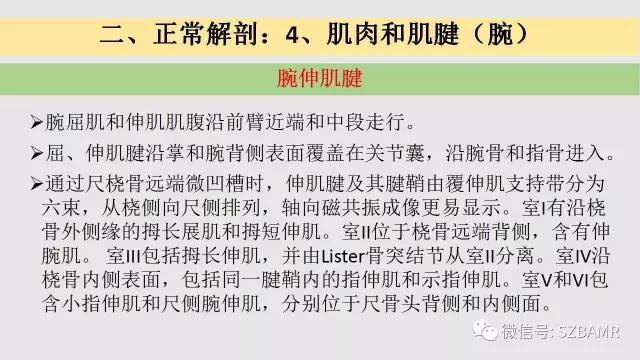 【PPT】腕、手磁共振成像正常解剖与变异