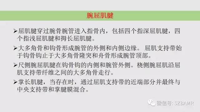 【PPT】腕、手磁共振成像正常解剖与变异